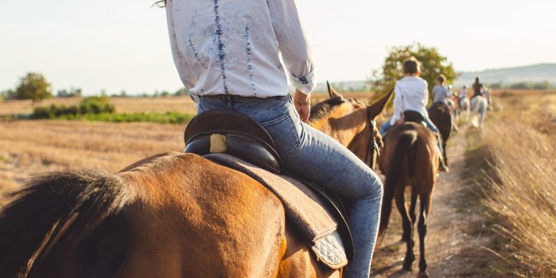 306278600_5442174142504075_6293062280075771335_n